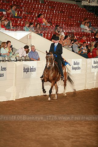 Proof Number 06buckeye_1775