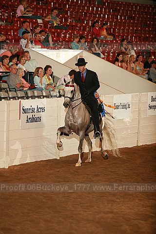 Proof Number 06buckeye_1777