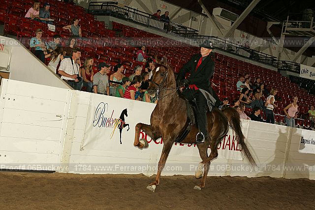 Proof Number 06buckeye_1784