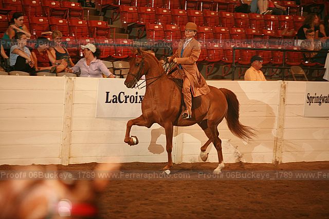 Proof Number 06buckeye_1789