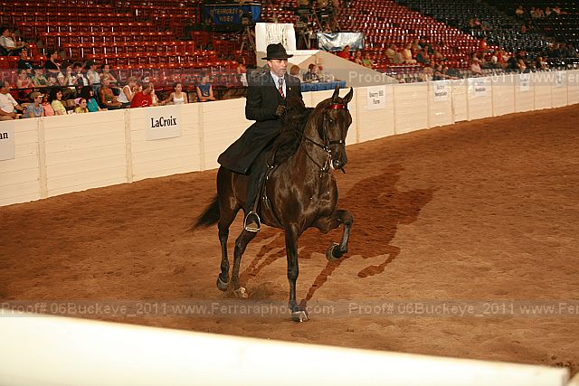Proof Number 06buckeye_2011