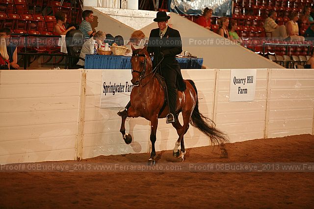 Proof Number 06buckeye_2013