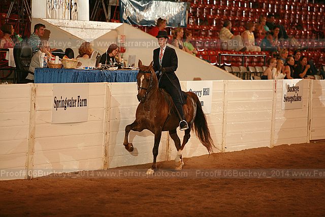 Proof Number 06buckeye_2014
