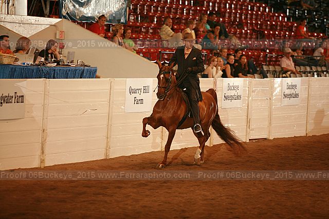 Proof Number 06buckeye_2015