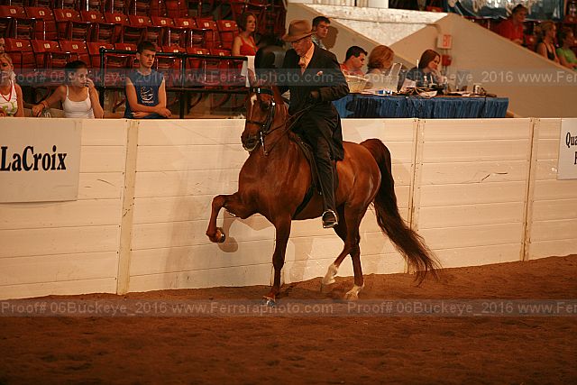 Proof Number 06buckeye_2016
