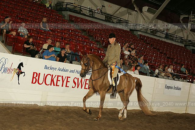 Proof Number 06buckeye_2040