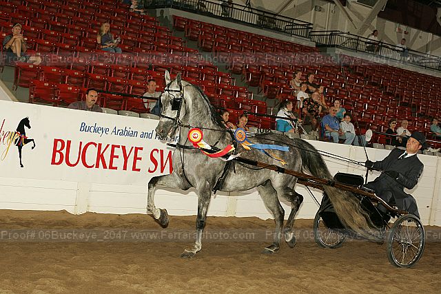 Proof Number 06buckeye_2047