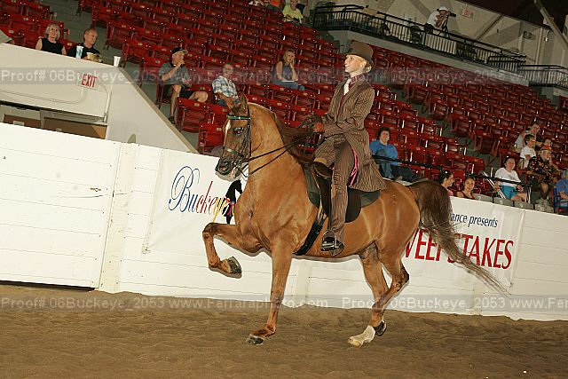 Proof Number 06buckeye_2053