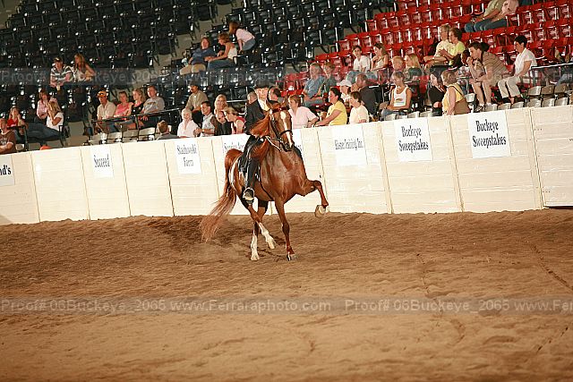 Proof Number 06buckeye_2065