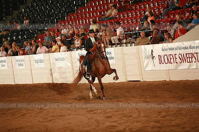 Proof Number 06buckeye_2066