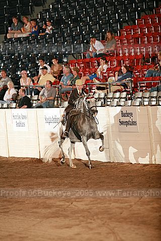 Proof Number 06buckeye_2095