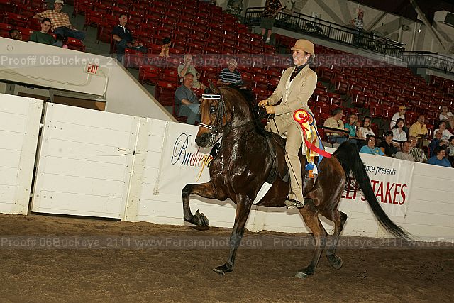 Proof Number 06buckeye_2111