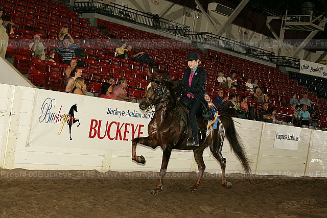 Proof Number 06buckeye_2149