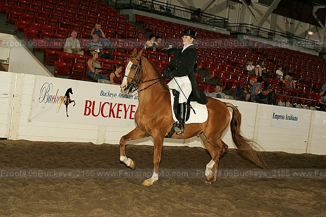 Proof Number 06buckeye_2155