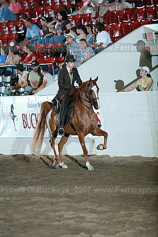 Proof Number 06buckeye_2207
