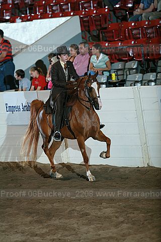 Proof Number 06buckeye_2208