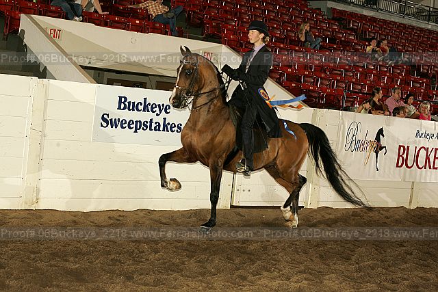 Proof Number 06buckeye_2218