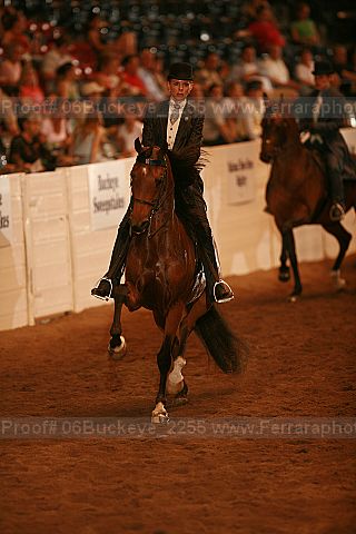 Proof Number 06buckeye_2255