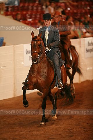 Proof Number 06buckeye_2269