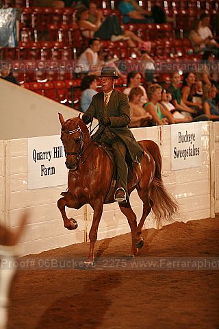 Proof Number 06buckeye_2275