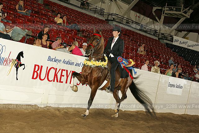 Proof Number 06buckeye_2288