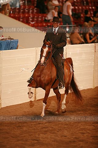 Proof Number 06buckeye_2357