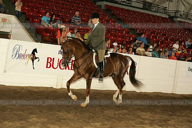 Proof Number 06buckeye_2392