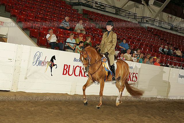 Proof Number 06buckeye_2406
