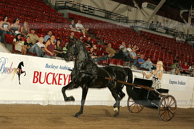 Proof Number 06buckeye_2450