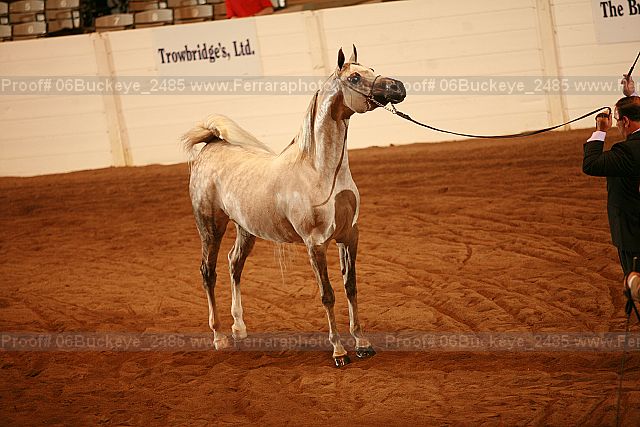 Proof Number 06buckeye_2485