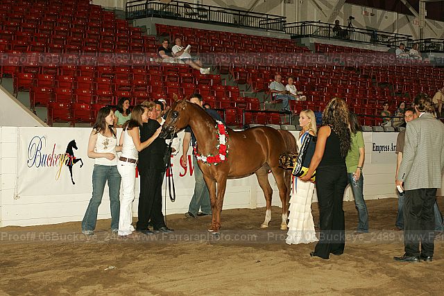 Proof Number 06buckeye_2489