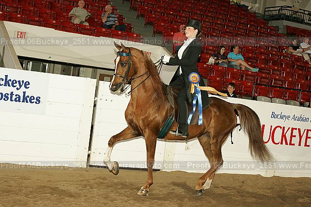 Proof Number 06buckeye_2551
