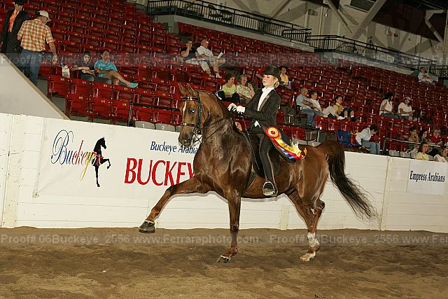 Proof Number 06buckeye_2556