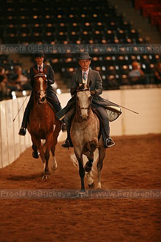 Proof Number 06buckeye_2641