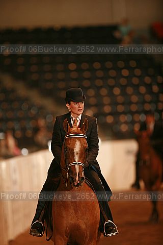 Proof Number 06buckeye_2652