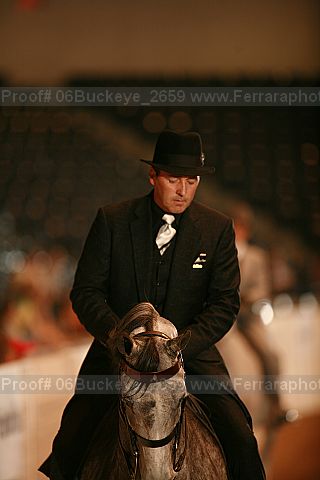 Proof Number 06buckeye_2659