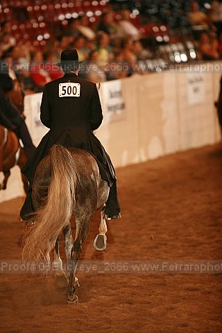 Proof Number 06buckeye_2666