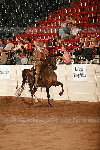 Proof Number 06buckeye_2670
