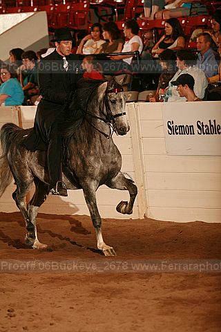 Proof Number 06buckeye_2678