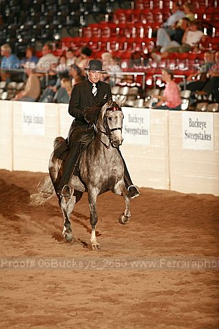 Proof Number 06buckeye_2680