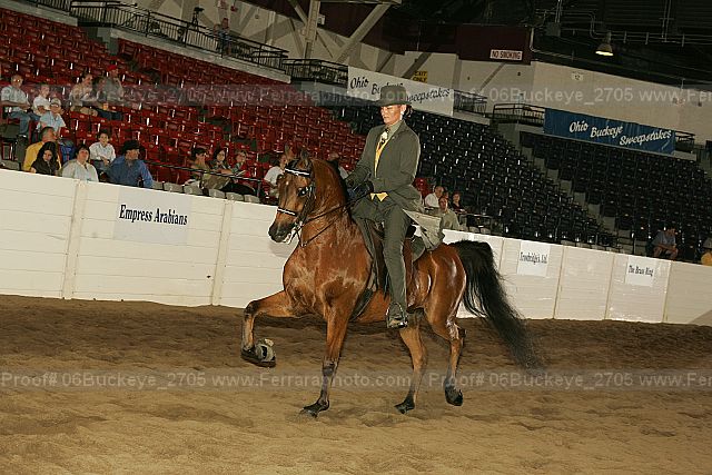 Proof Number 06buckeye_2705