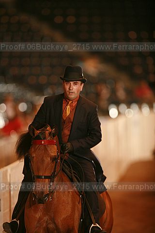 Proof Number 06buckeye_2715