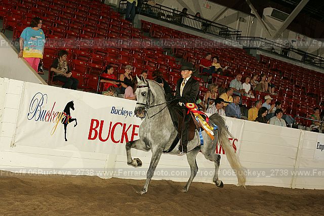 Proof Number 06buckeye_2738