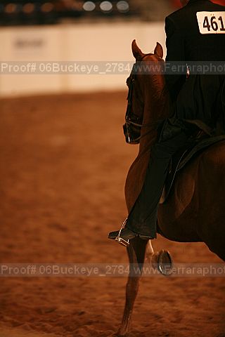 Proof Number 06buckeye_2784