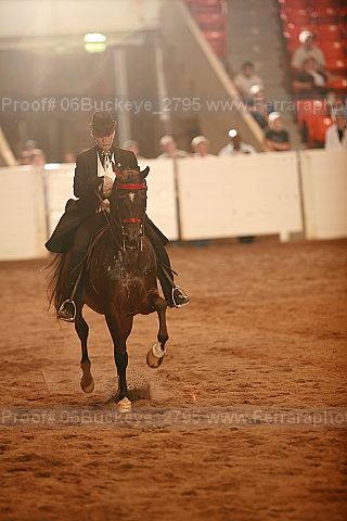 Proof Number 06buckeye_2795