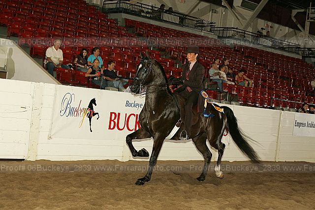 Proof Number 06buckeye_2839