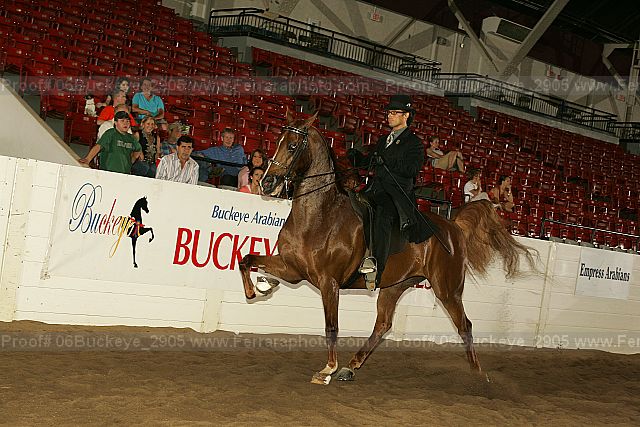 Proof Number 06buckeye_2905