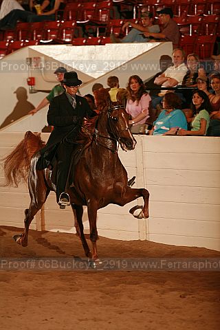 Proof Number 06buckeye_2919