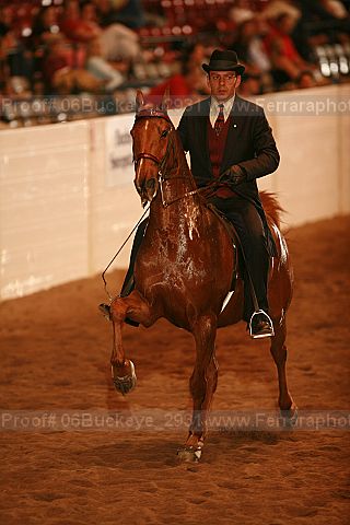 Proof Number 06buckeye_2931