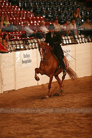 Proof Number 06buckeye_2998